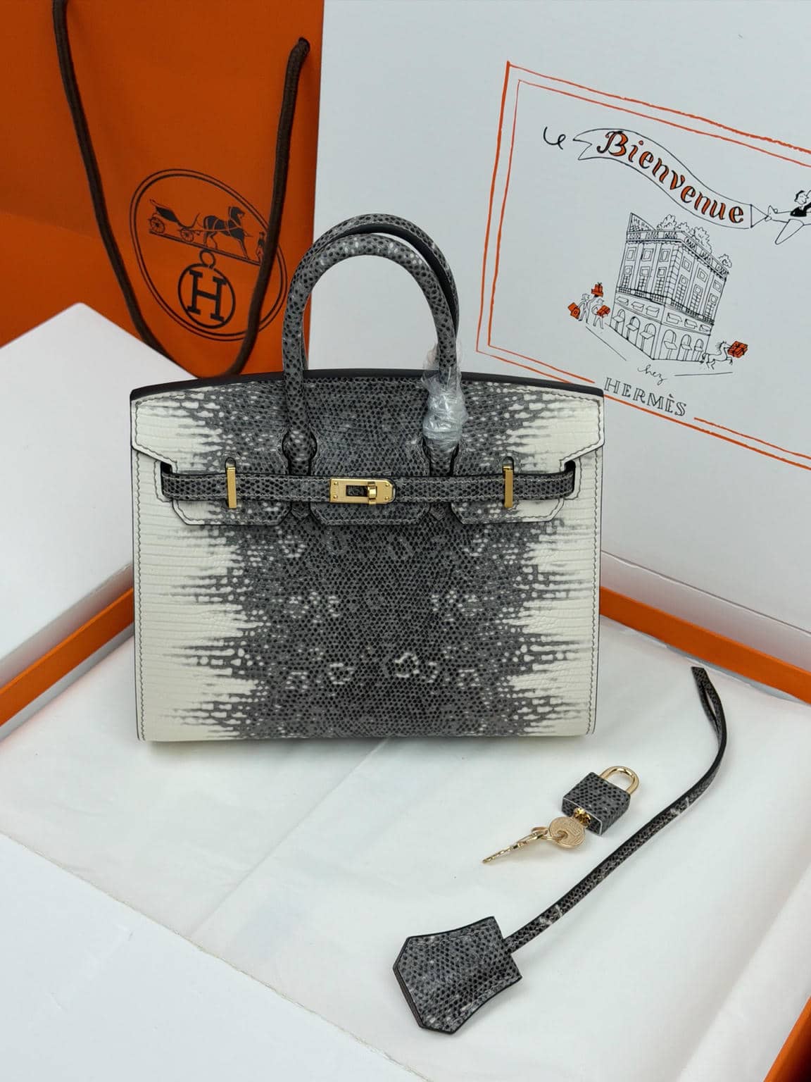Birkin Crocodile-Embossed Cow Leather-1